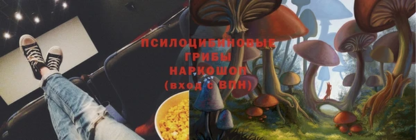молекула духа Майский
