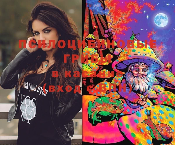 молекула духа Майский