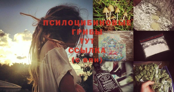 молекула духа Майский