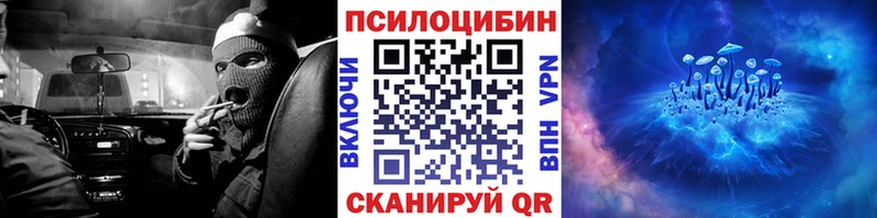 Псилоцибиновые грибы Cubensis Суджа