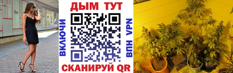 купить наркотик  OMG вход  Бошки Шишки Amnesia  Суджа 